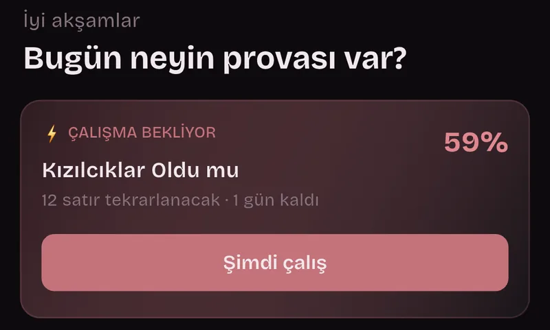 Ana sayfa: İyi akşamlar, Bugün neyin provası var? Çalışma bekliyor: Kızılcıklar Oldu mu, 12 satır tekrarlanacak, 1 gün kaldı, %59, Şimdi çalış.